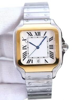 Luxury 39mm 2 tone automatic mechanical men’s watch stainless steel